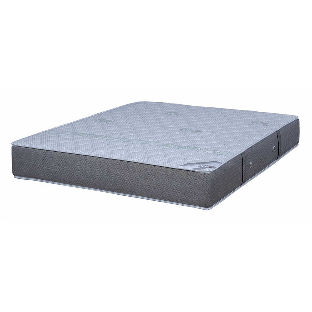 orfeas_XL-web Orfeas - Pilt 1